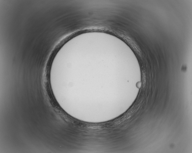 X0000116290628201001111057