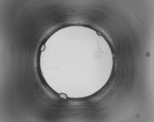 X0000116290629201001111057