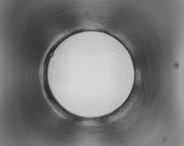 X0000116290630201001111057