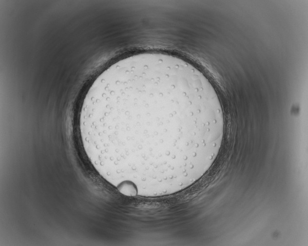 X0000116290631201001111057