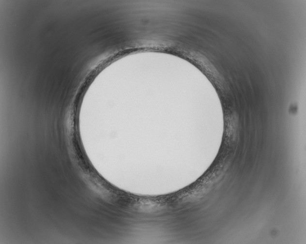 X0000116290632201001111057