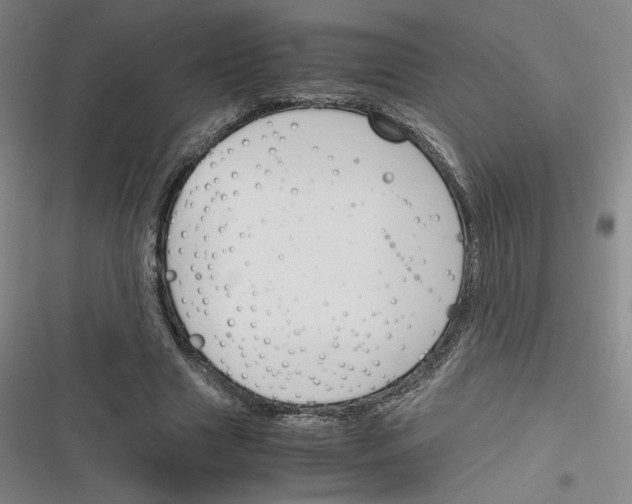 X0000116290633201001111057