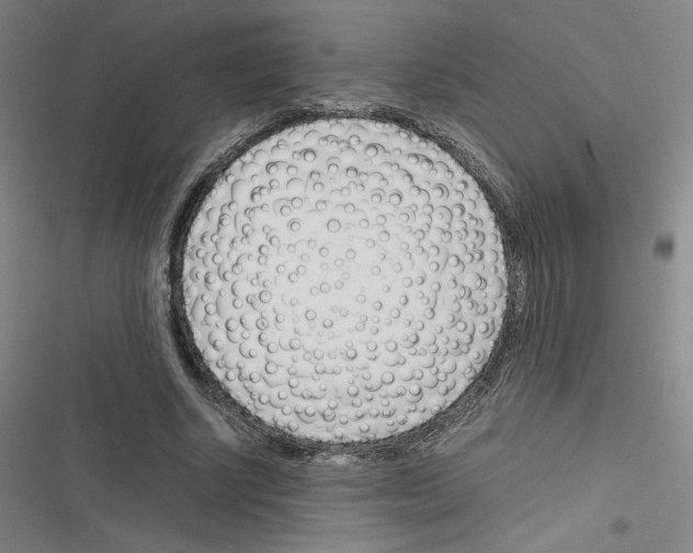 X0000116290634201001111057