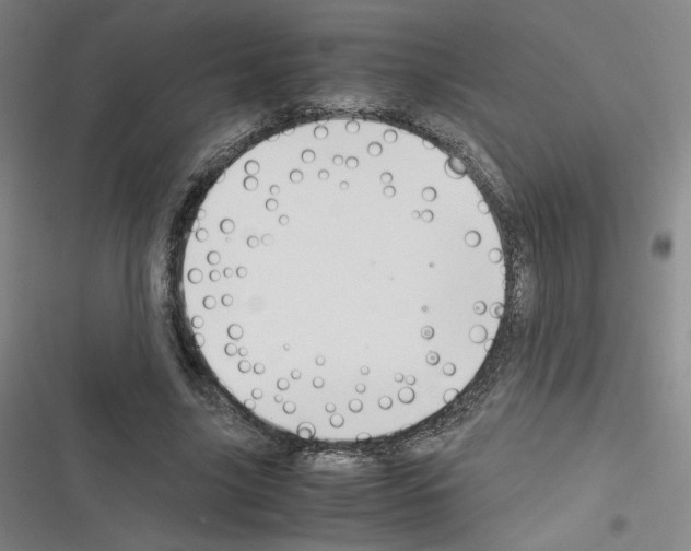 X0000116290635201001111057