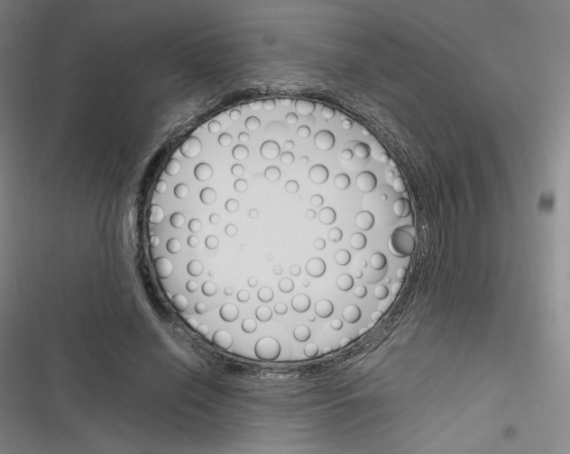 X0000116290638201001111057