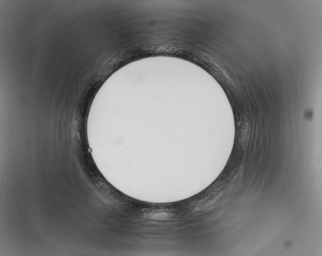 X0000116290643201001111057