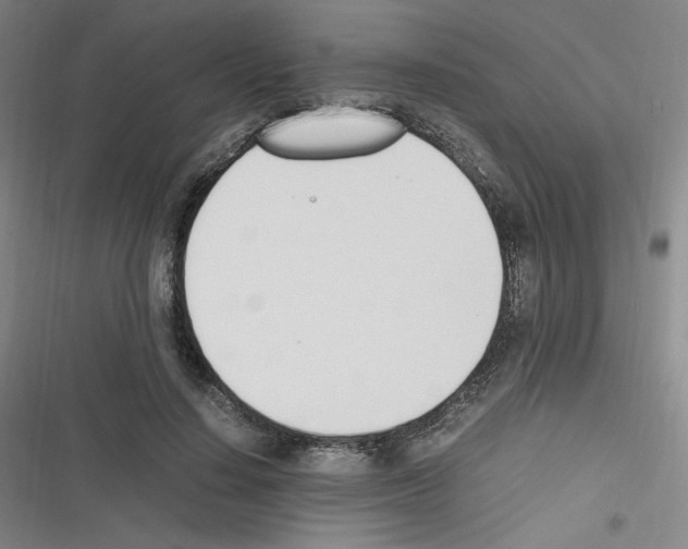 X0000116290644201001111057