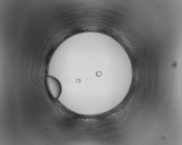 X0000116290645201001111057