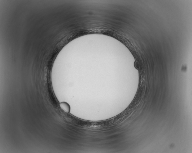 X0000116290647201001111057