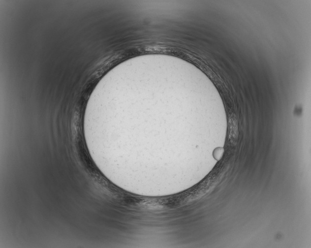 X0000116290648201001111057