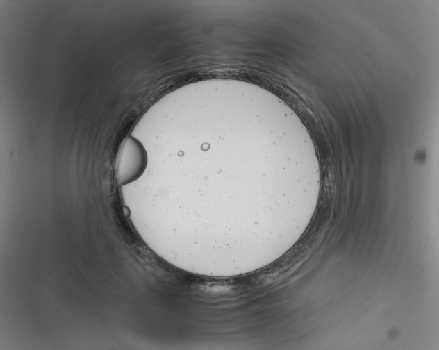 X0000116290651201001111057