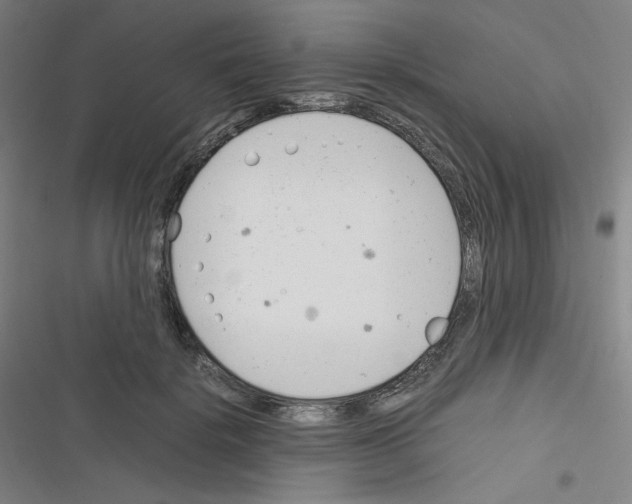 X0000116290652201001111057