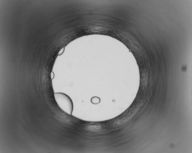 X0000116290653201001111057