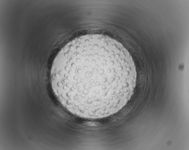 X0000116290654201001111057