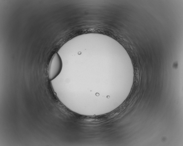 X0000116290657201001111057