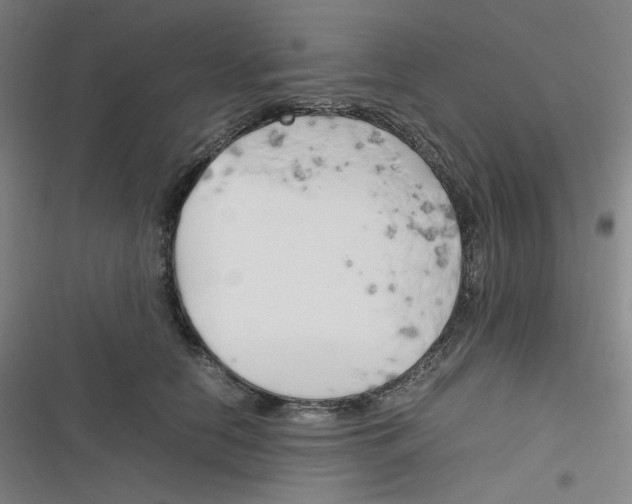 X0000116290658201001111057