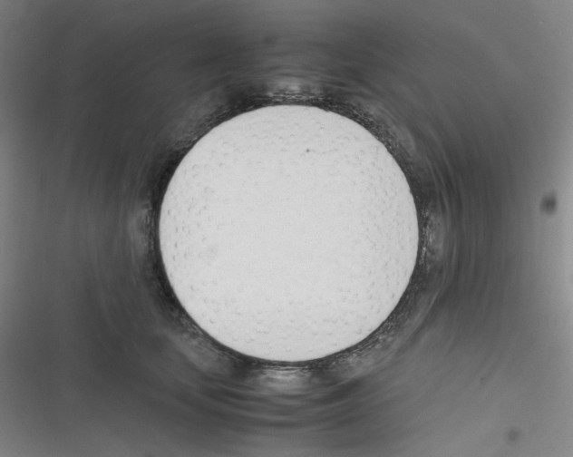 X0000116290659201001111057