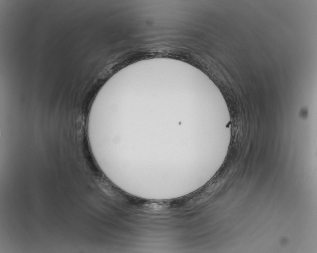 X0000116290660201001111057