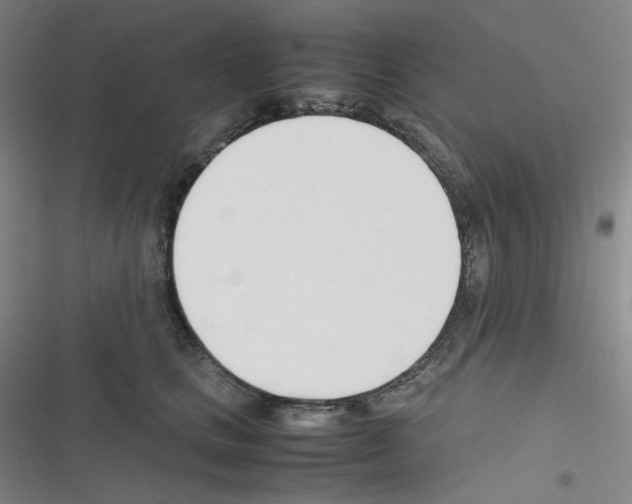 X0000116290661201001111057