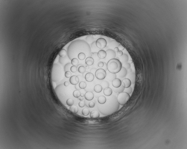 X0000116290662201001111057