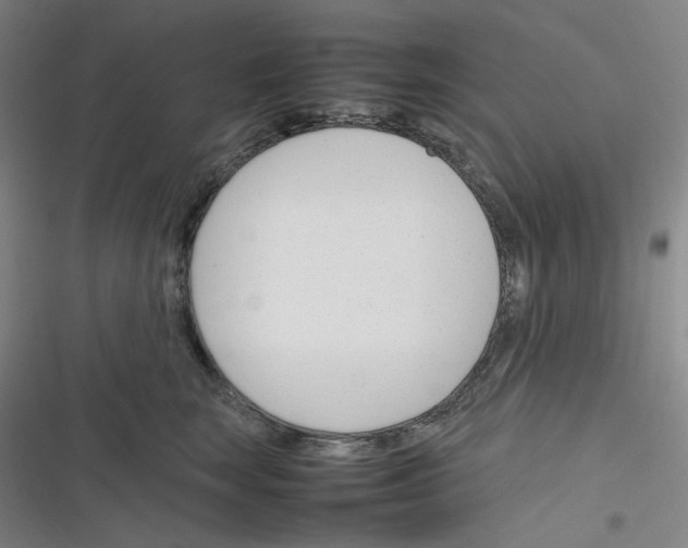 X0000116290663201001111057