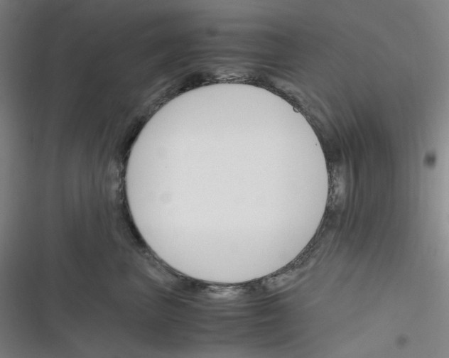 X0000116290667201001111058