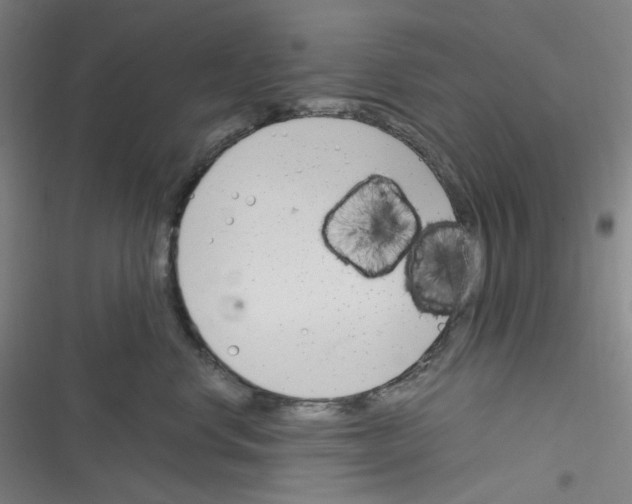 X0000116290668201001111058