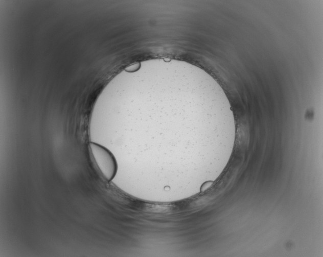 X0000116290671201001111058