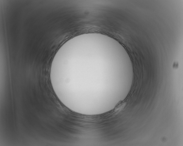 X0000116290672201001111058