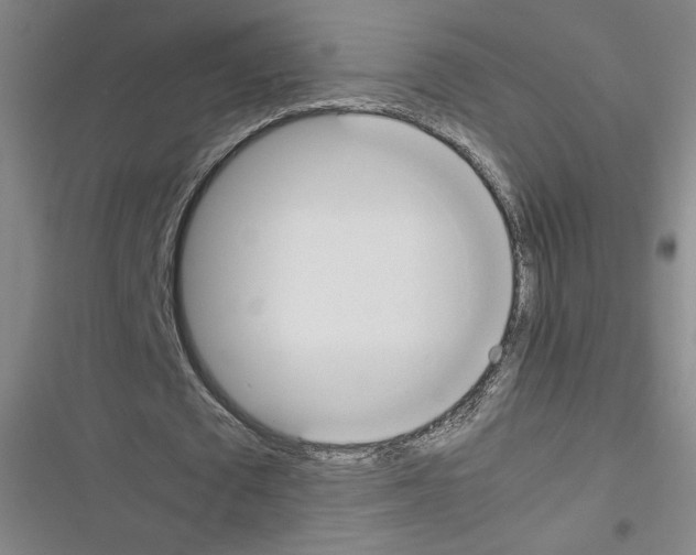 X0000116290673201001111057