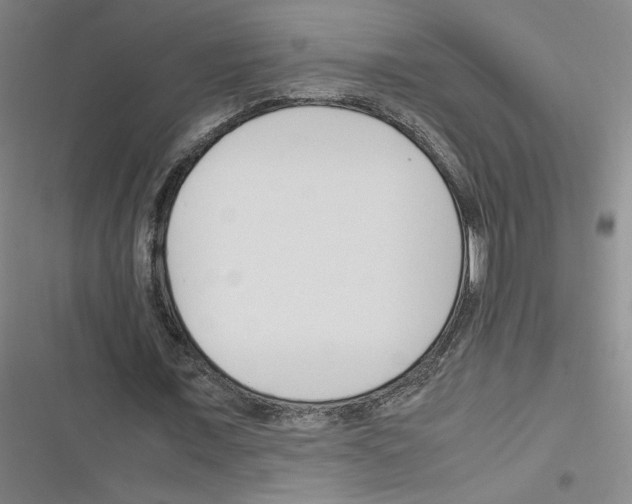 X0000116290675201001111057