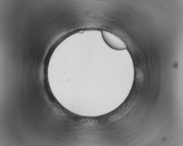 X0000116290676201001111057