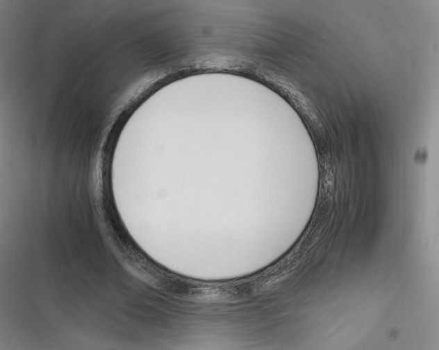 X0000116290678201001111057