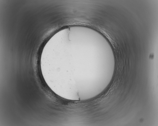 X0000116290679201001111057