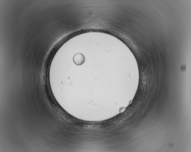 X0000116290680201001111057