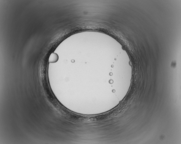 X0000116290683201001111057