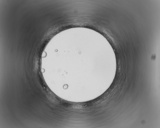 X0000116290685201001111057