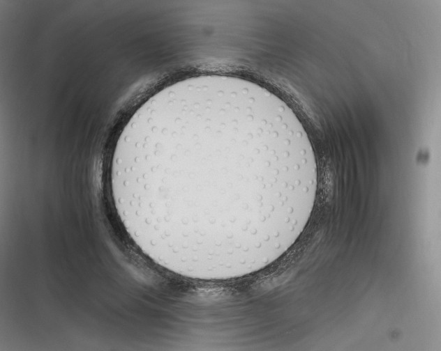 X0000116290686201001111057