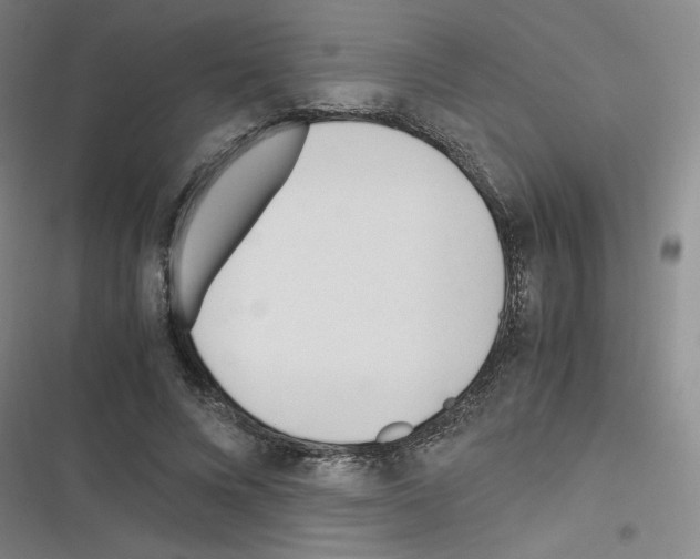 X0000116290688201001111057