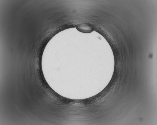 X0000116290689201001111057