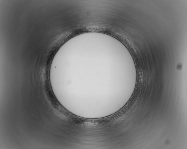 X0000116290690201001111057