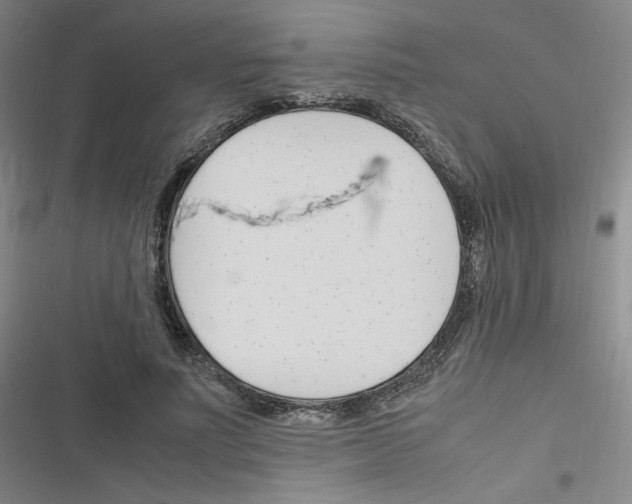 X0000116290691201001111057