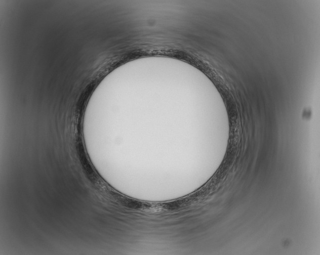 X0000116290695201001111057