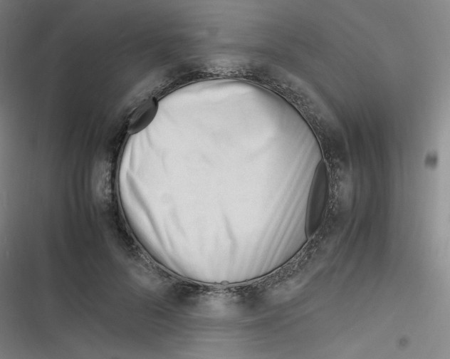 X0000116290696201001111057