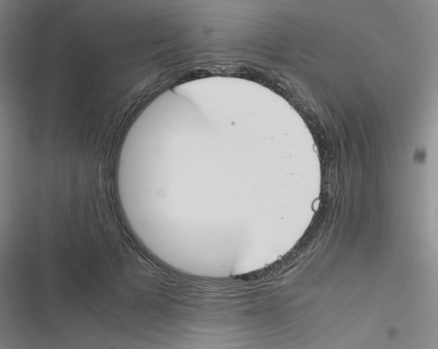 X0000116290697201001111057