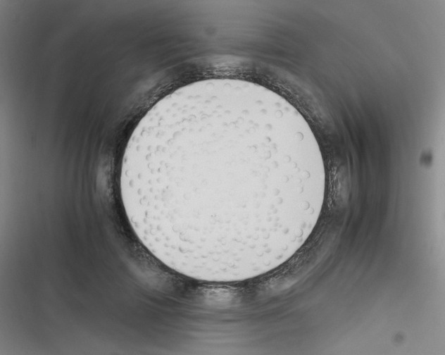 X0000116290698201001111057