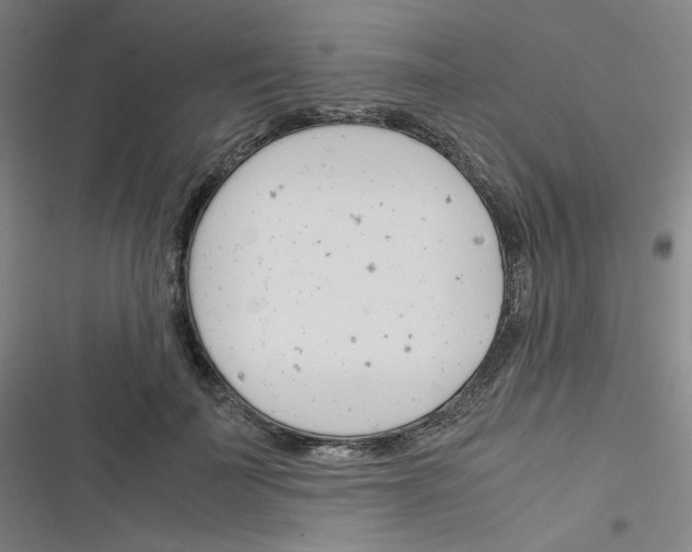 X0000116290699201001111057