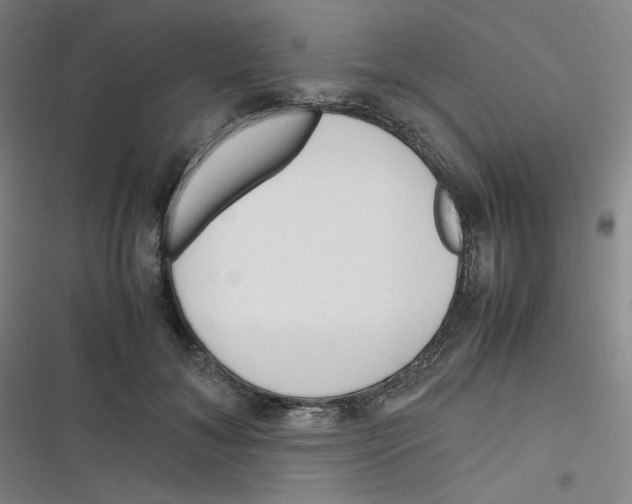 X0000116290700201001111057