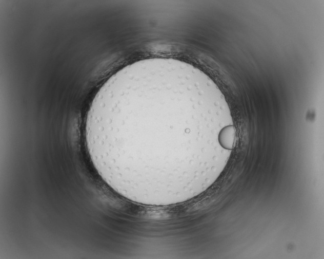 X0000116290702201001111057