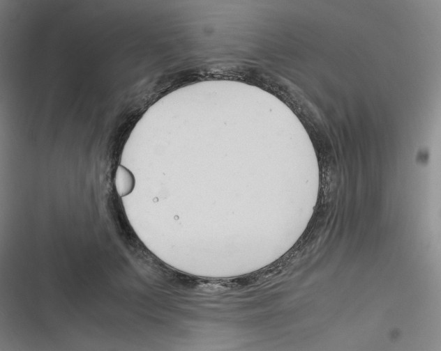 X0000116290703201001111057